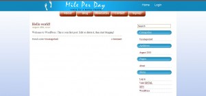  Mile Per Day Blog